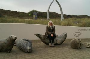 KONICA MINOLTA DIGITAL CAMERA