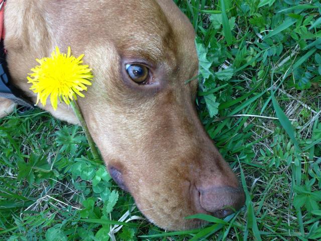 iPhone_2013_2014_2015 050 (Large)