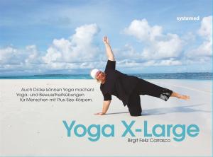 sys_xlarge__cover (Large)