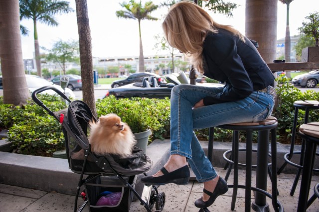 Midtown-Miami-Woman-With-Dog-in-Stroller-MS (Large)