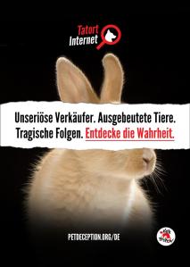 german-a4-portrait-and-landscapeRabbit portrait (Large)