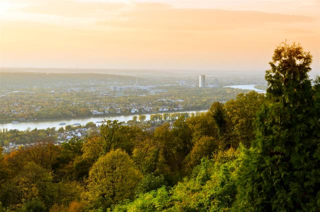 Blick von Terrasse (Large)