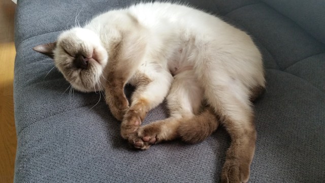 20160801_155839 (Large)