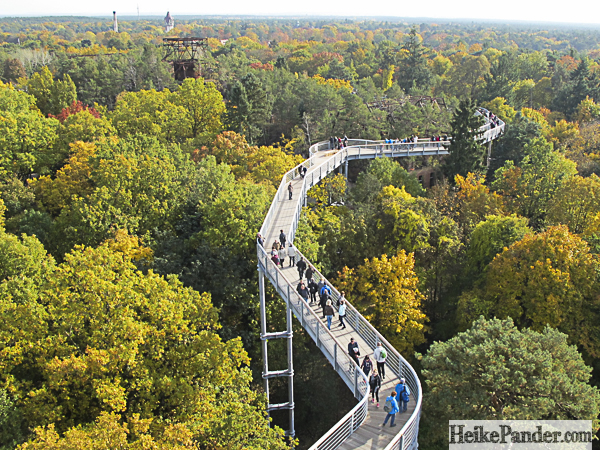 Baumkronenpfad Beelitz