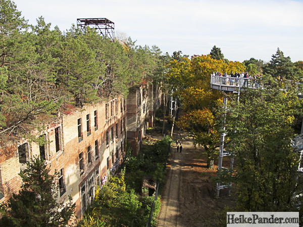 Baumkronenpfad Beelitz, Blick auf Ruine
