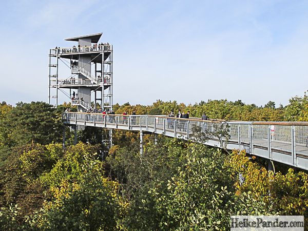 Blick auf Turm, Baumkronenpfad Beelitz