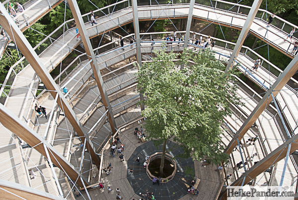 Baumkronenpfad Steigerwald