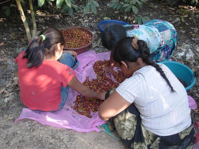 038-jocotenango-centro-cultural-la-azotea-kaffeepfluckerinnen-large
