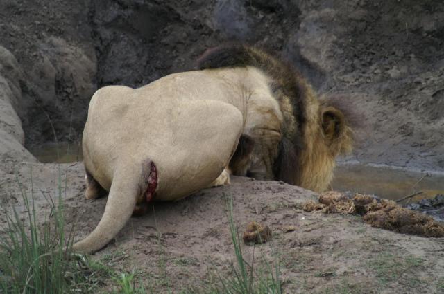 KONICA MINOLTA DIGITAL CAMERA