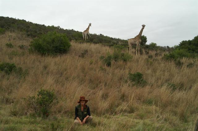 KONICA MINOLTA DIGITAL CAMERA