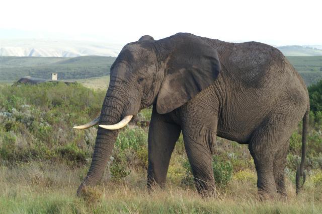 KONICA MINOLTA DIGITAL CAMERA