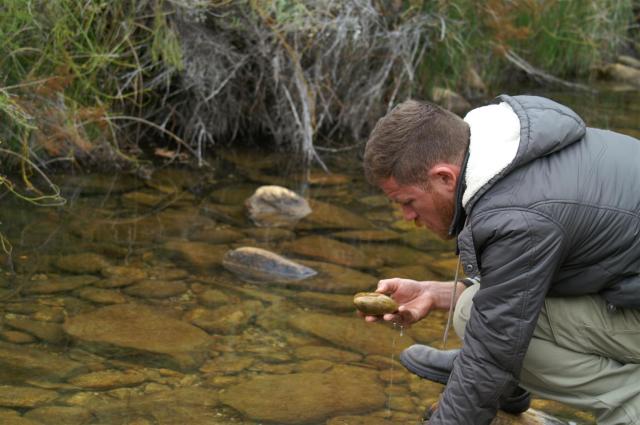 KONICA MINOLTA DIGITAL CAMERA