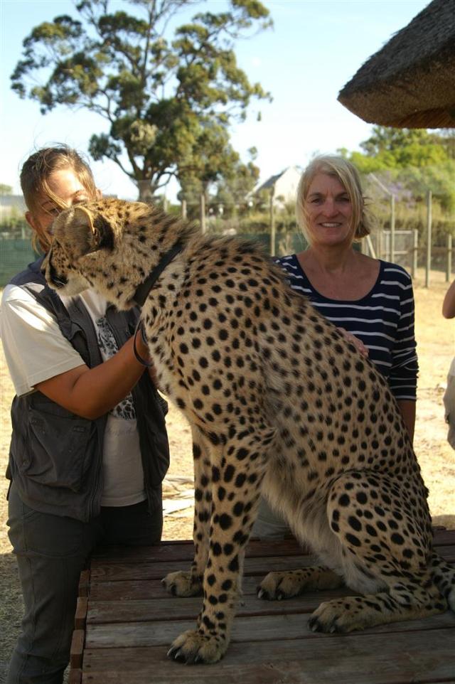 KONICA MINOLTA DIGITAL CAMERA