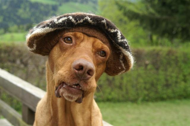 KONICA MINOLTA DIGITAL CAMERA