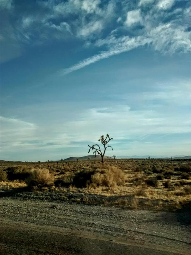 IMG_20171118_153848308 (Large)