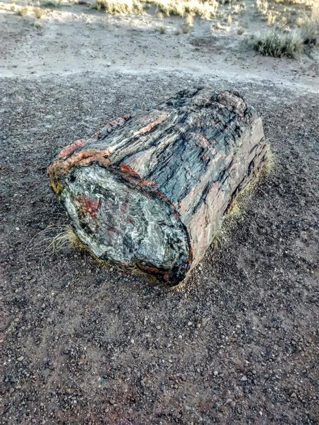 IMG_20171119_164009603 (Large)