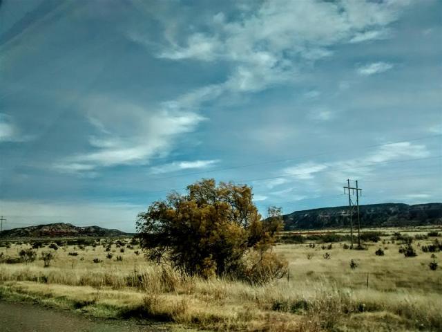 IMG_20171120_124823143 (Large)