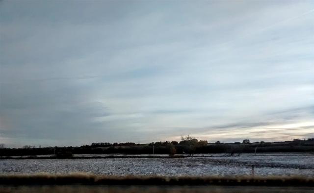 IMG_20171120_172010328 (Large)