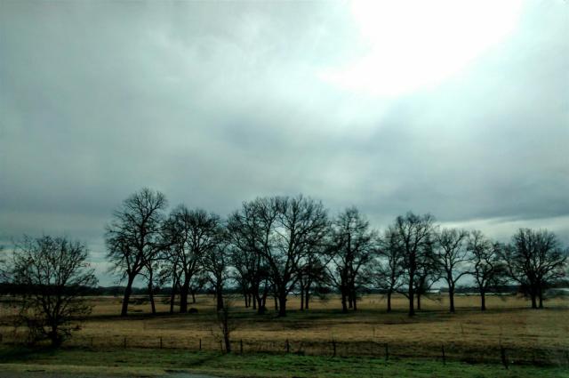 IMG_20171121_111128983 (Large)