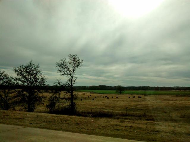 IMG_20171121_112042654 (Large)