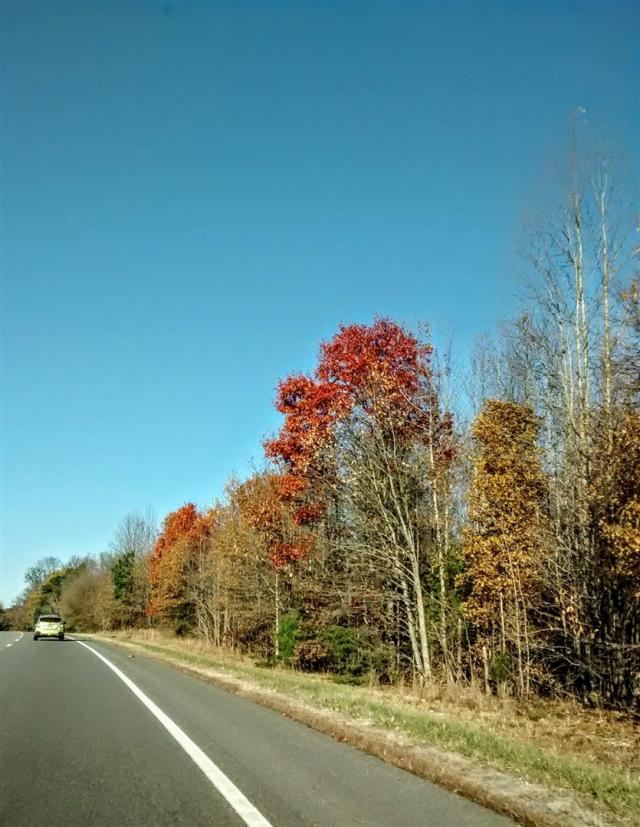 IMG_20171123_151011367 (Large)