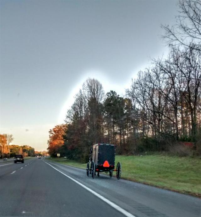 IMG_20171123_162021880_HDR (Large)