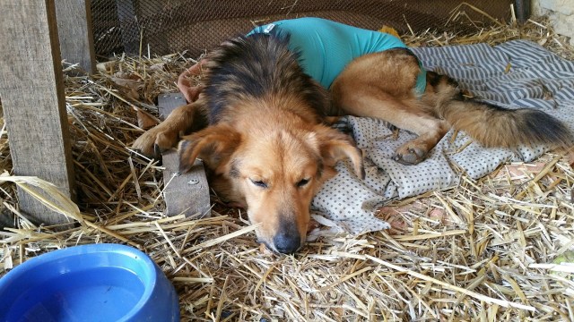 20171006_142506_resized_3 (Large)