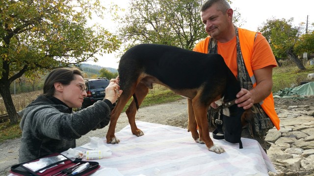 20171015_164103_resized_1 (Large)