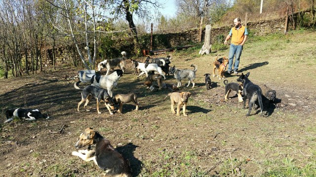 20171029_101643_resized_3 (Large)