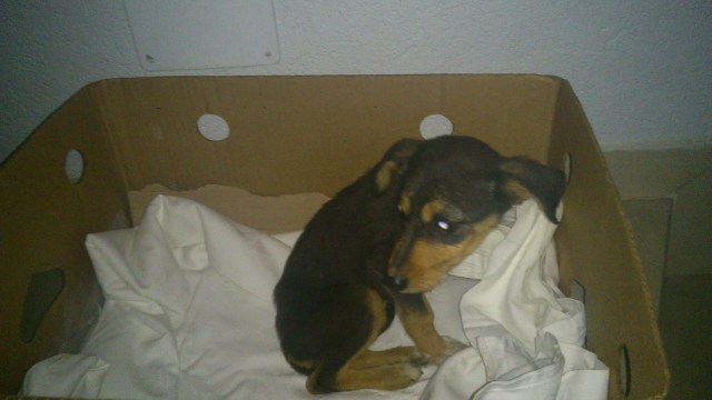 DSC_0414_resized_2 (Large)