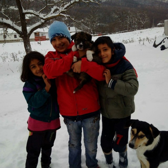 FB_IMG_1483556789628_resized_1 (Large)