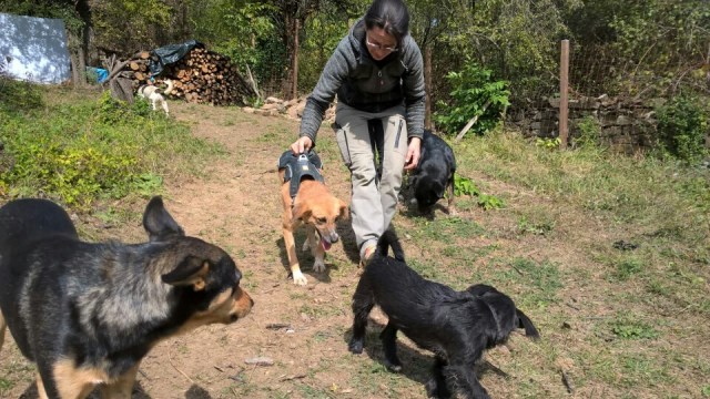 IMG-20171005-WA0014_resized_2