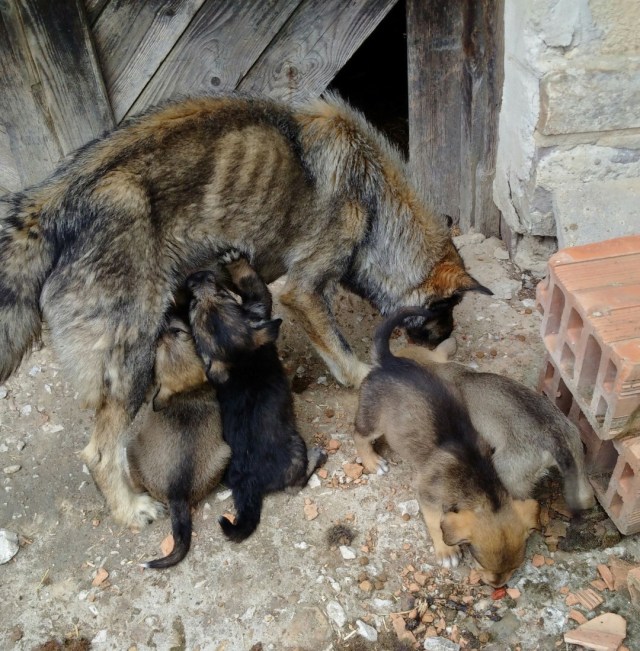 IMG_20150529_142037_edit_resized_2 (Large)