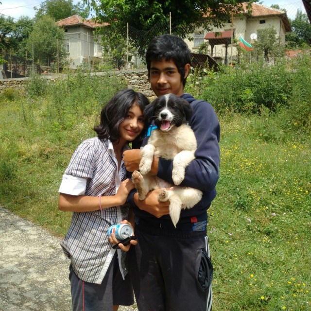 IMG_20160704_124235_resized_2 (Large)