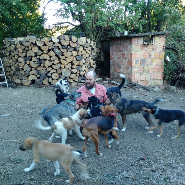 IMG_20160815_194703_resized_3 (Large)