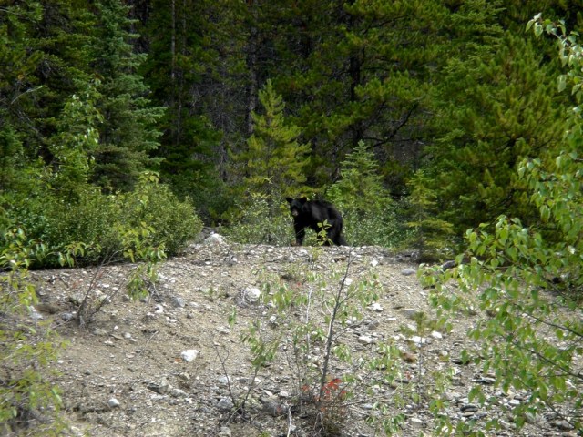 thumb_DSC00241 (Large)_1024