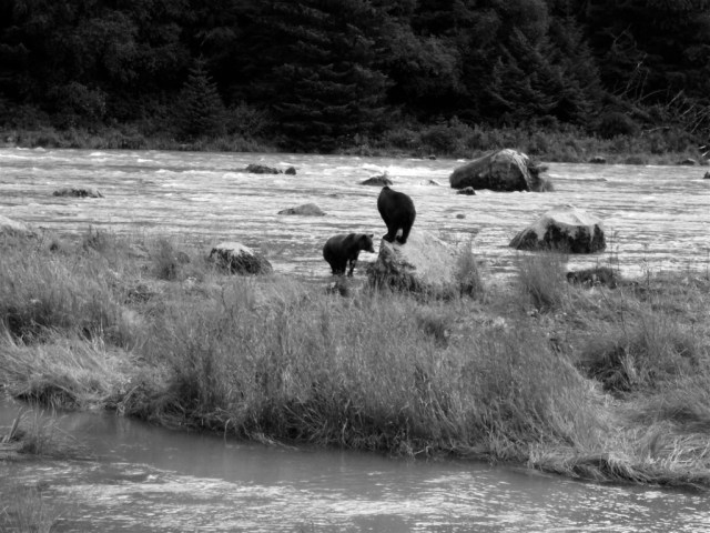 thumb_P1060114 (Large)_1024