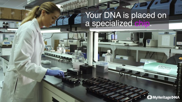 At the lab still 2 (Large)