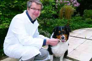 DNA-Tests für Hunde