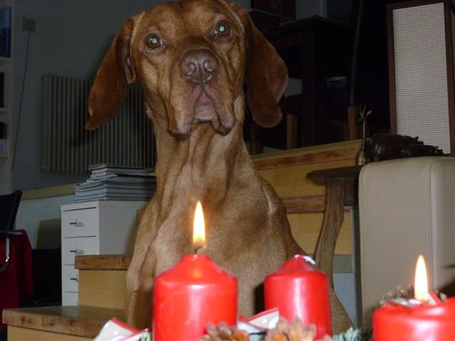 10 Adventskranz 1212 (Large)